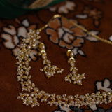 Damini Necklace Set